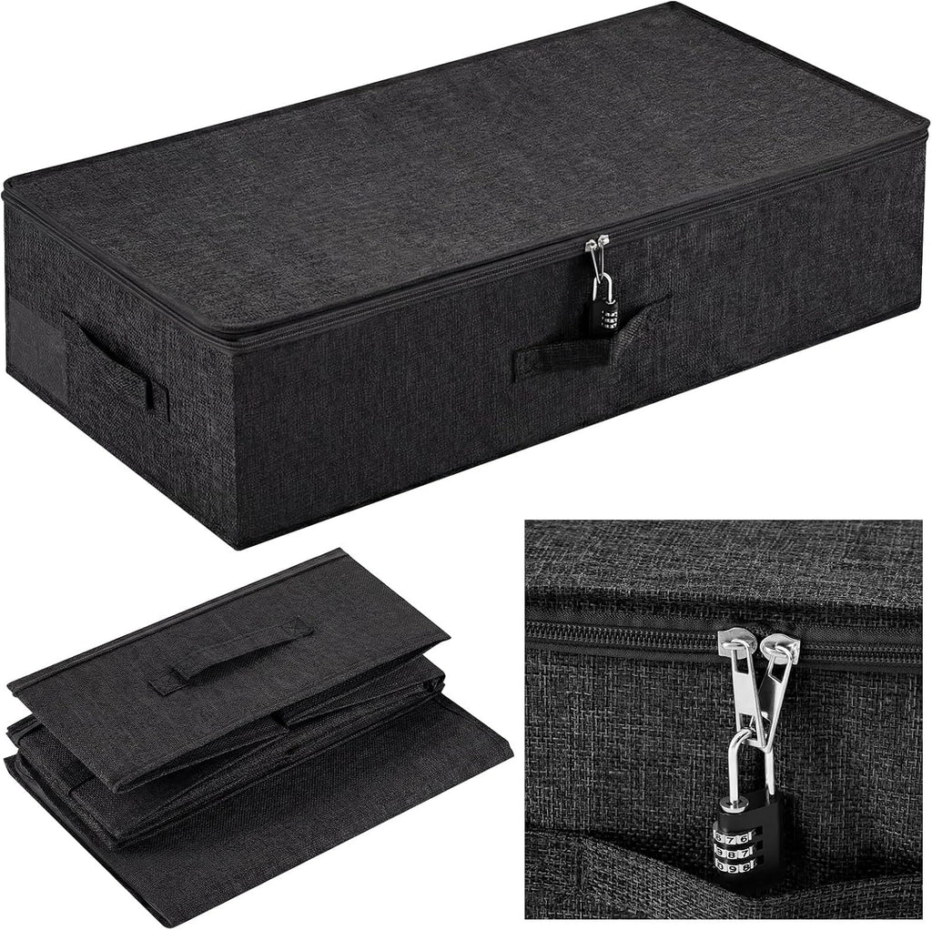 Briwooody 29.9 x 15 x 6.7in Discreet Lockable Under Bed Storage Bag,Black